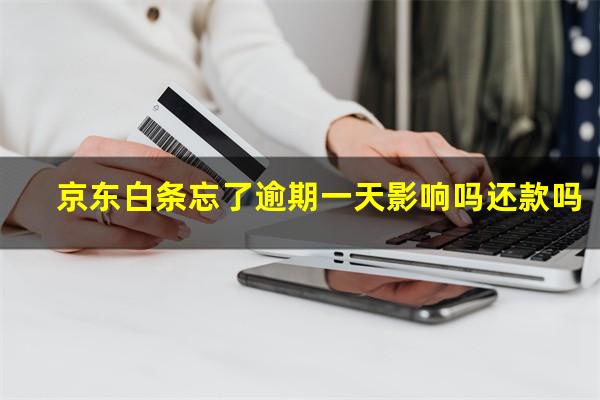 京东白条忘了逾期一天影响吗 京东白条忘了逾期一天影响吗还款吗