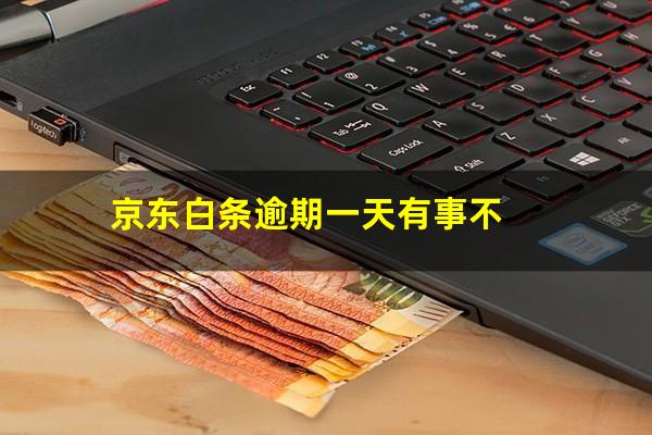 京东白条逾期一天会上信用吗 京东白条逾期一天有事不