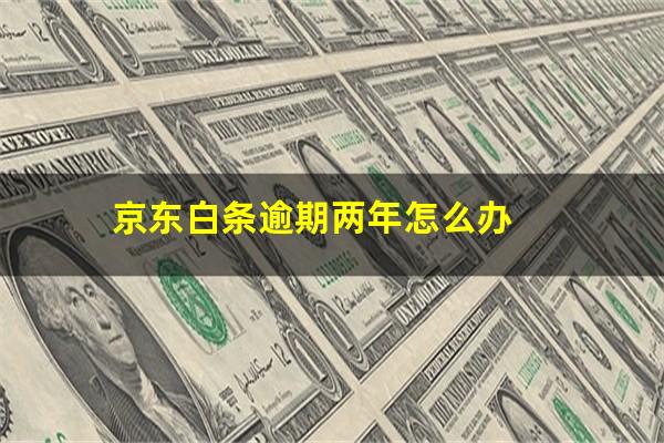 京东白条2年没还了会被起诉吗 京东白条逾期两年怎么办