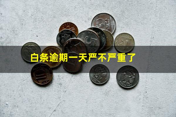 白条逾期一天严不严重 白条逾期一天严不严重了