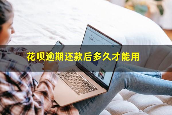 花呗逾期还款后多久能够重新再次使用 花呗逾期还款后多久才能用