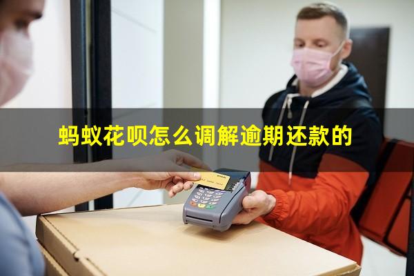 蚂蚁花呗怎么调解逾期还款 蚂蚁花呗怎么调解逾期还款的