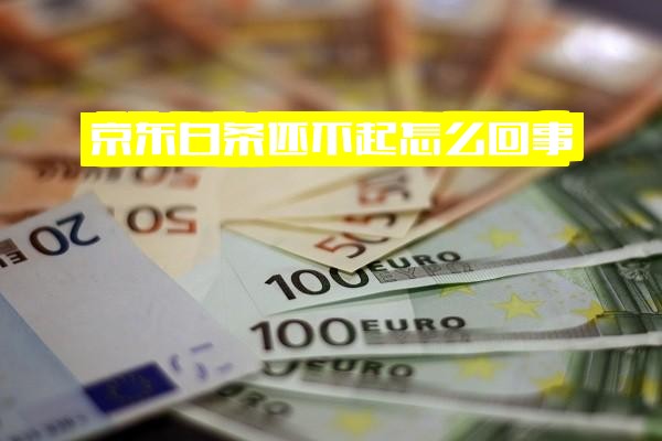 京东白条还不起怎么回事？实在还不起怎么办？有什么后果？全面解析应对指南