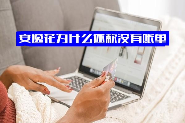 安逸花借款后为何竟无账单？还款详情与界面双双缺失！