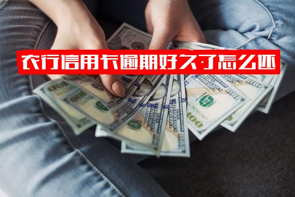 农行信用卡长期逾期8000元怎么办？协商延期还款指南