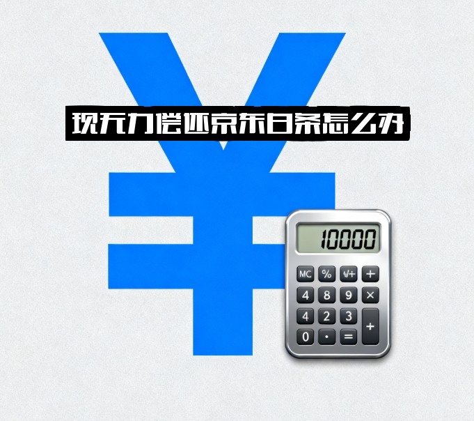 ="现无力偿还京东白条还不上怎么办？钱还不上会有什么后果及解决办法"