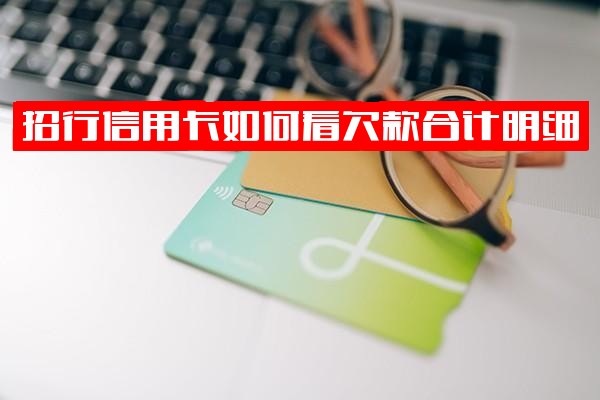 招商银行信用卡：详细查看欠款合计明细、还款记录及欠款总额（APP快速查询指南）