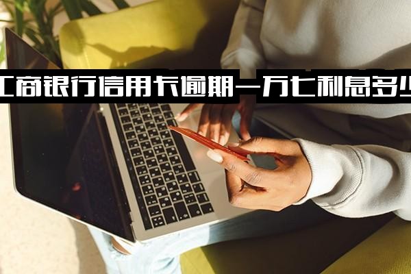 工商银行信用卡逾期全解析：1.7万利息计算、1万暂还不上应对、逾期两年(1万)与一年(5万)处理策略