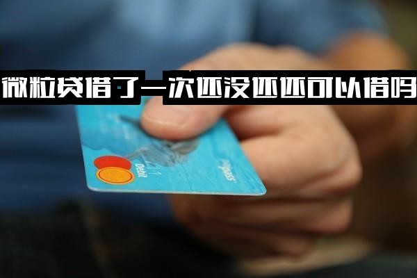 ="微粒贷首次借款后未还清时，若仍有可用额度，能否再次借款？"