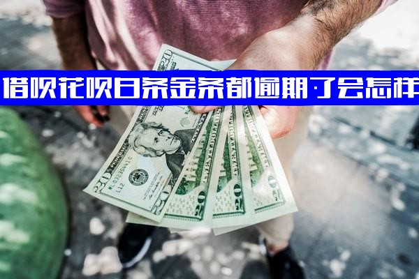 借呗花呗白条金条都逾期会怎样？借呗白条逾期是否催收？借呗逾期与金条逾期哪个更严重？京东白条金条逾期多久上征信？借呗逾期几天上征信？