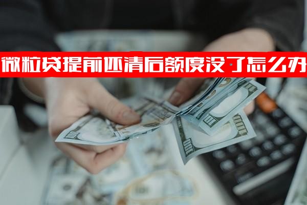 微粒贷提前还清借款后额度消失怎么办？额度是否恢复可借及提前还款额度问题详解