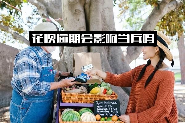 花呗逾期是否会影响当兵政审？支付宝花呗逾期对当兵的影响全面解析