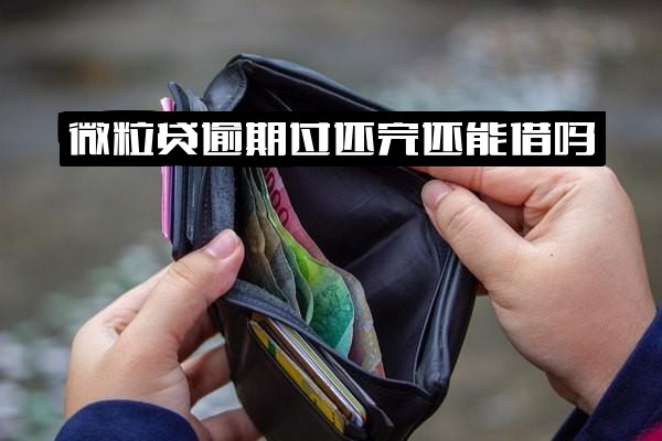 微粒贷逾期还清后还能借款吗？如何再次申请？是否影响征信？还能继续使用吗？