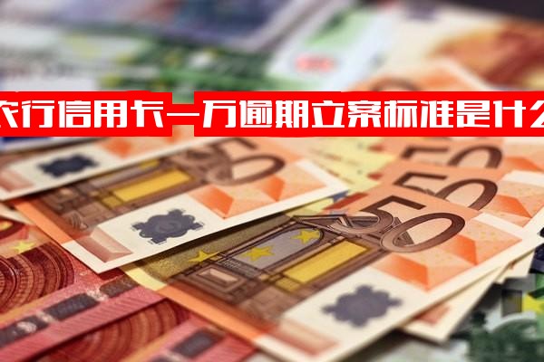 农业银行信用卡1万元逾期立案标准是什么（含1万元分12期、逾期一年、逾期4年）