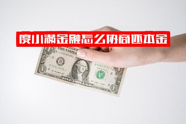 度小满金融实用协商指南：如何协商还本金、能否协商延期及还款方式详解