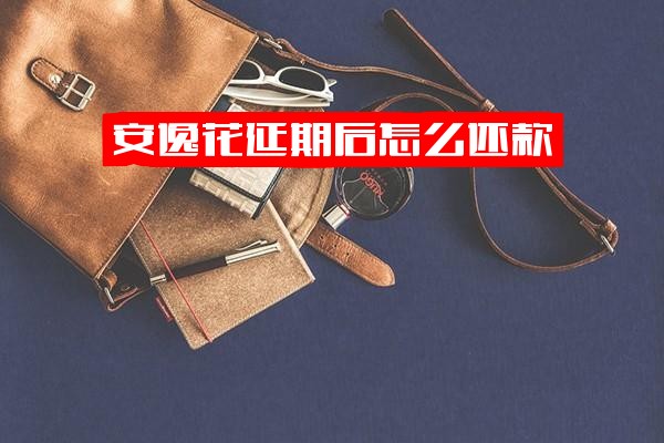 ="安逸花延期后还款详解：办理申请后需一次性结清吗？延期有利息吗？"
