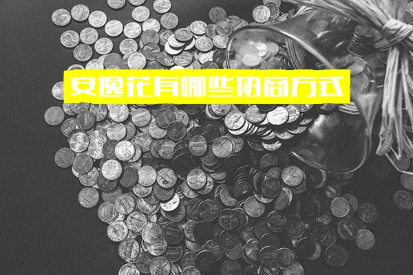 ="安逸花协商全攻略：方式、还本金技巧、还款方法及减免真实性解析"