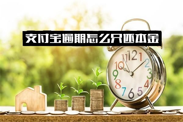 ="支付宝逾期后怎么只还本金？能否不还利息及具体操作？"