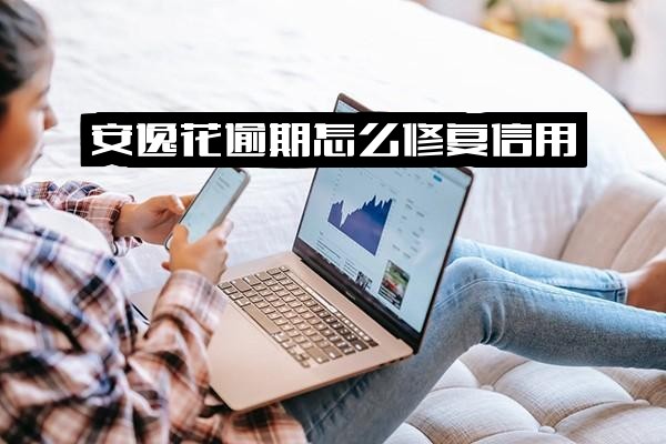 ="安逸花逾期后果与<a