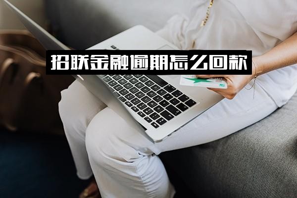 ="招联金融逾期应对全攻略：如何有效回款？是否影响征信？处理后多久能恢复贷款？"
