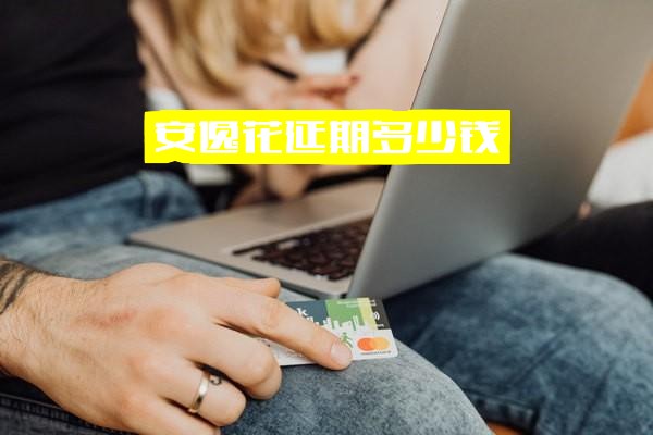安逸花延期费用详解：金额计算、利息规则、征信影响门槛及延期范围全解析