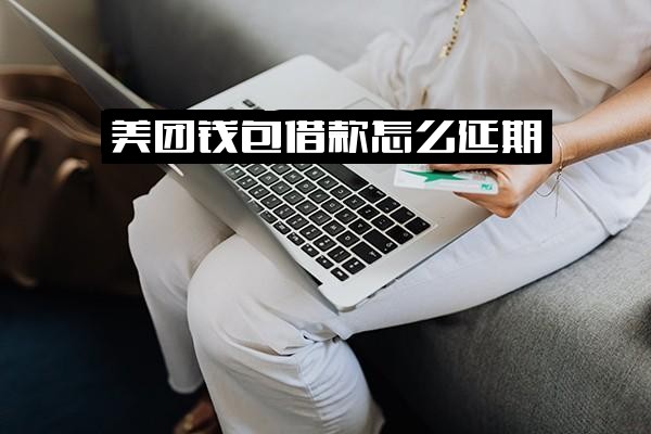="美团借款延期还款指南：详解延期到账与延长<a