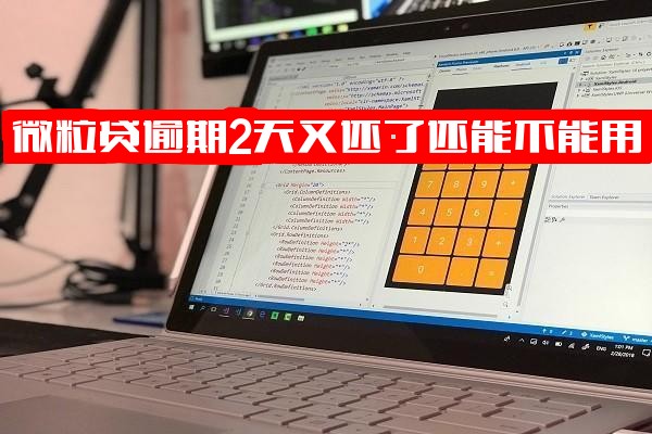 微粒贷逾期2天已还疑问：还款后还能借款吗？影响分析