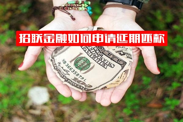 招联金融如何申请延期还款及是否收取利息官方指南
