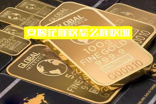 ="安逸花催收怎么催收的、几点下班及催款手段全解析"