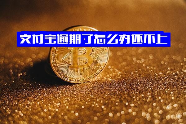 支付宝逾期暂时还不上、一直逾期或实在还不起怎么办？最坏的打算是什么？