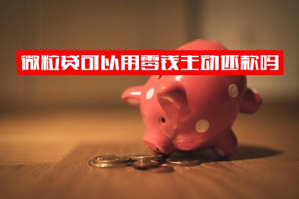 微粒贷借款能用零钱还吗？支持主动/直接还款吗