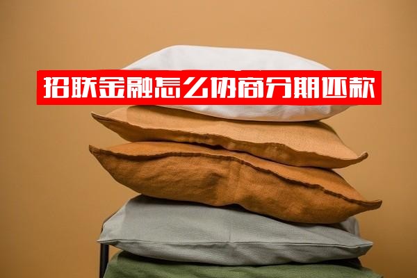 招联金融协商分期还款全攻略：流程详解及最后一期减免多少