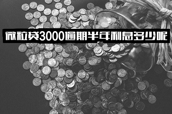 微粒贷3000逾期半年利息计算及两年费用详解，逾期三期金额1700元是否会被起诉？