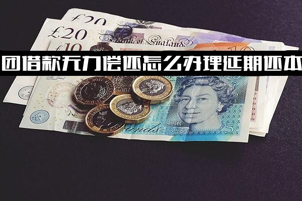 美团借款无力偿还如何办理延期还本金？延期未还及延迟还款影响全解析