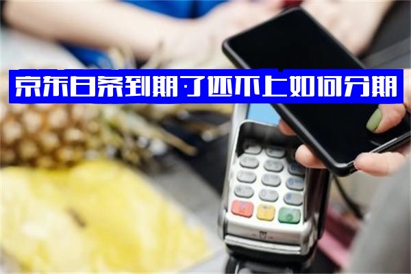 京东白条到期还不上怎么办？如何分期？无法还款会有什么后果？能否分期？