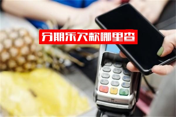 ="分期乐欠款查询指南：快速查看全部欠款、借款记录及剩余还款金额"