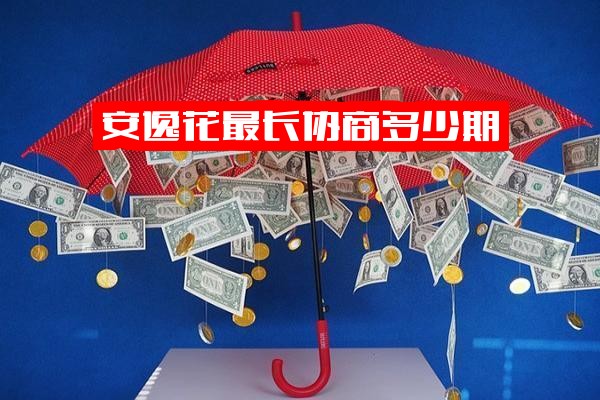 安逸花协商还款指南：最长可分多少期？能否只还本金？如何操作分几期？