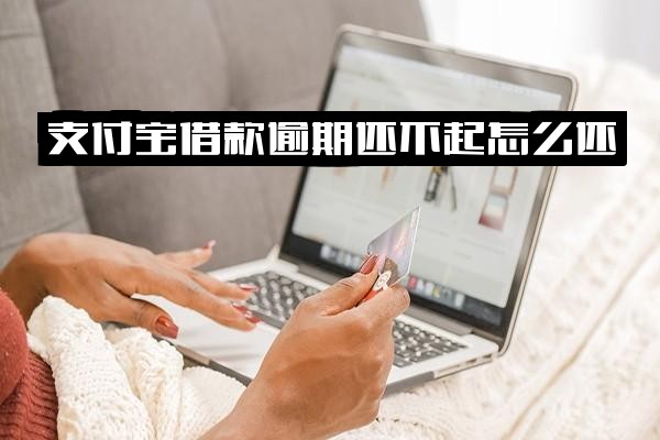 支付宝借款逾期还不上怎么办？教你逾期后如何再借及应对方法