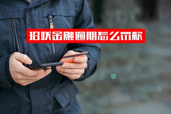 招联金融逾期：罚款标准、解决方法、具体影响与严重后果