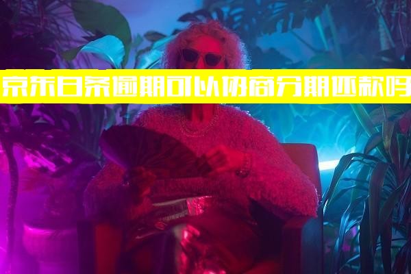 京东白条逾期能否协商有效分期还款？