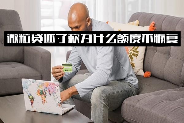 微粒贷还款后为什么额度不恢复？原因解析