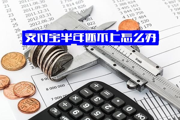 支付宝逾期半年还不上怎么办？几千或1千块半年未还，无力偿还，生活已成问题