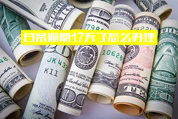 白条逾期15-20天区间：17天紧急办理指南，20天能否补救？15天后正常还款影响分析，16天是否上征信及对买房的关键影响