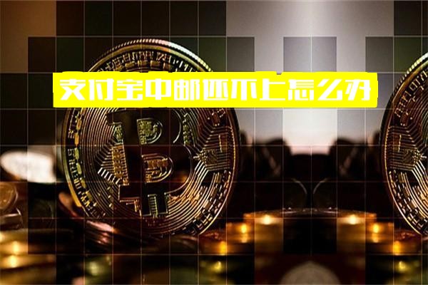 支付宝中邮借钱服务：还不上怎么办、消费打不开问题解决、借钱花正规性及借钱疑问全攻略