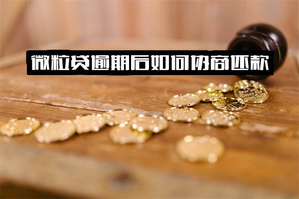 微粒贷逾期后主动还不了款，如何有效协商还款、科学规划慢慢还借款？正确操作流程指南