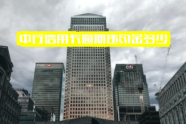 中行信用卡逾期违约金及滞纳金详解：延迟几天与逾期一天的费用计算