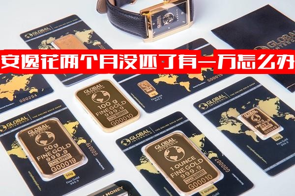 安逸花逾期两个月欠款一万、数月未还及欠款2万多逾期523天以上的后果与应对措施