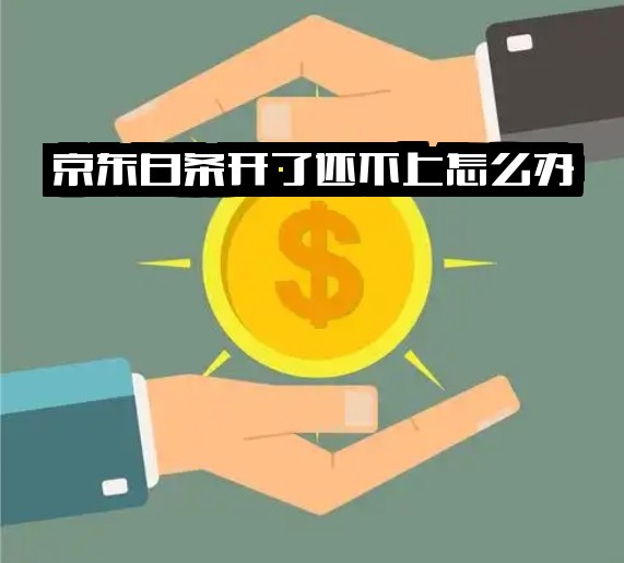 京东白条开通后还不上怎么办？开通了但未使用有影响吗？开通后真的没事吗？