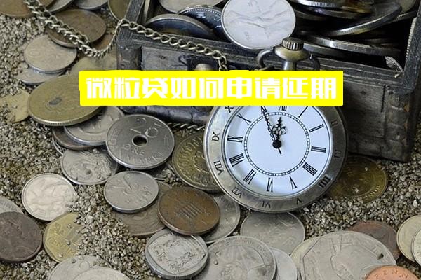 微粒贷申请延期还款完整指南：如何申请、多久知道结果及申请一个月延期的详细步骤