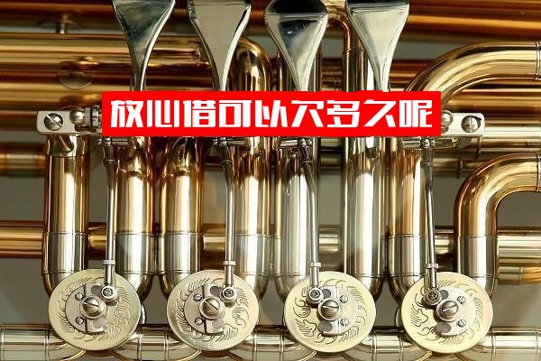 ="放心借最全解答：欠款期限、逾期宽限、借款期数及当前可借额度"